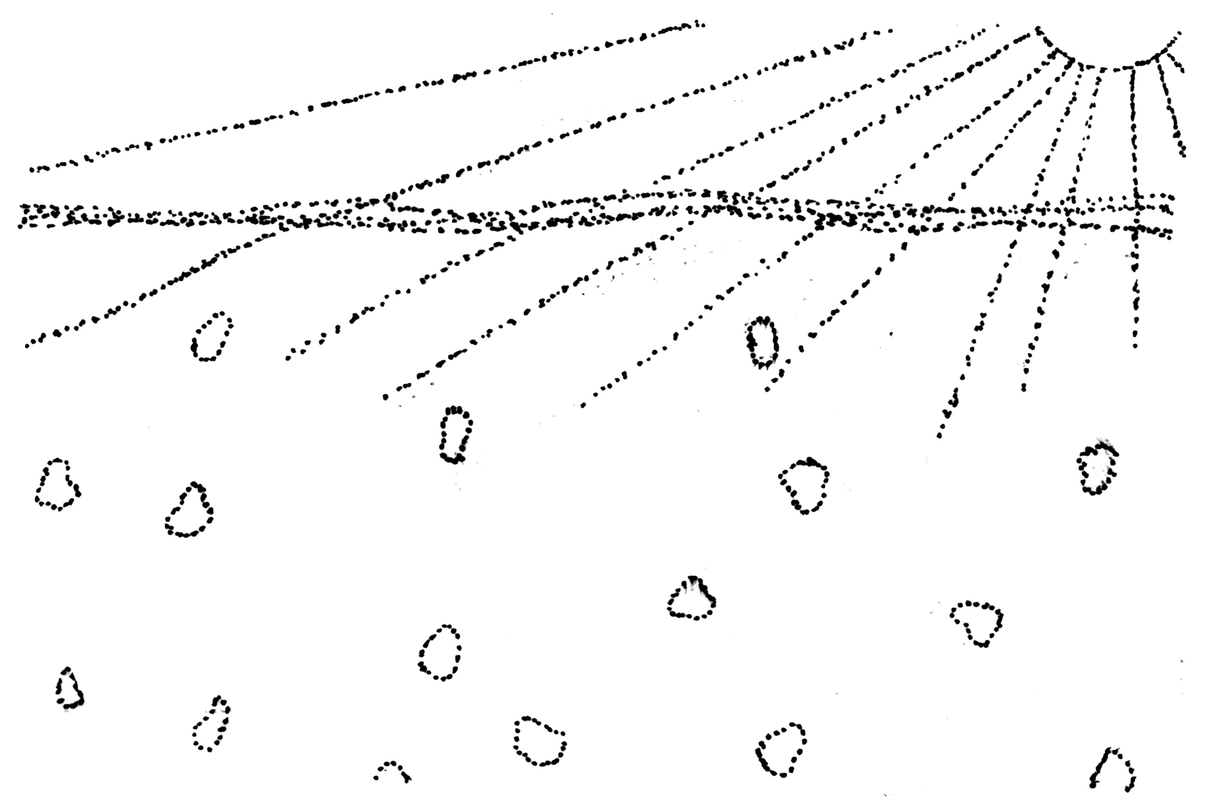 011.jpg